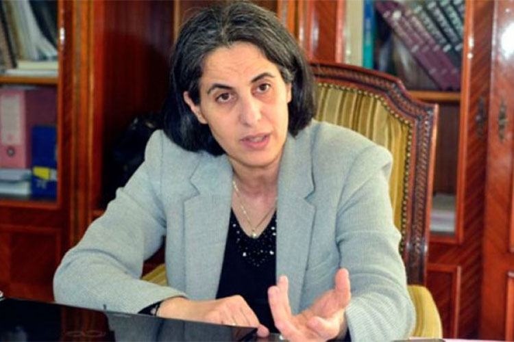 Partnership Agreement With The European Union Was Not Well Negotiated