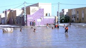 أحواض الموت تقتل 31 جزائريا في أسبوع واحد