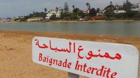 احذروا الشواطئ الملوّثة.. مياهها وبعوضها ناقلة لأمراض قاتلة