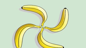 كاريكاتير العدد 4364