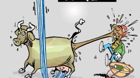 تقسيم الثروة