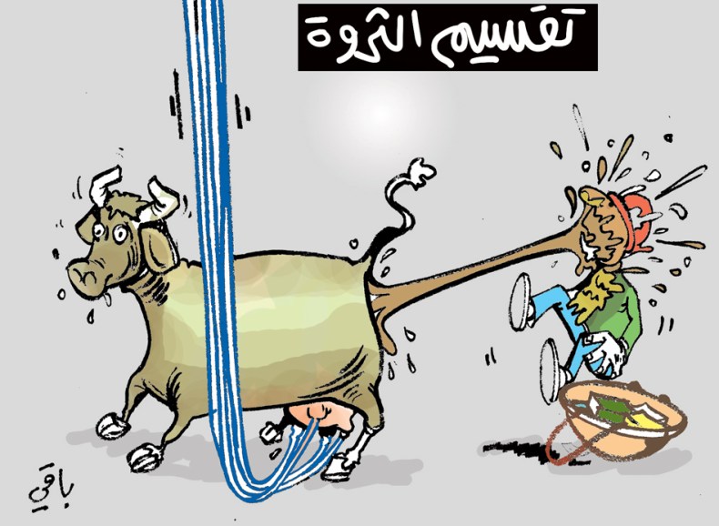 تقسيم الثروة