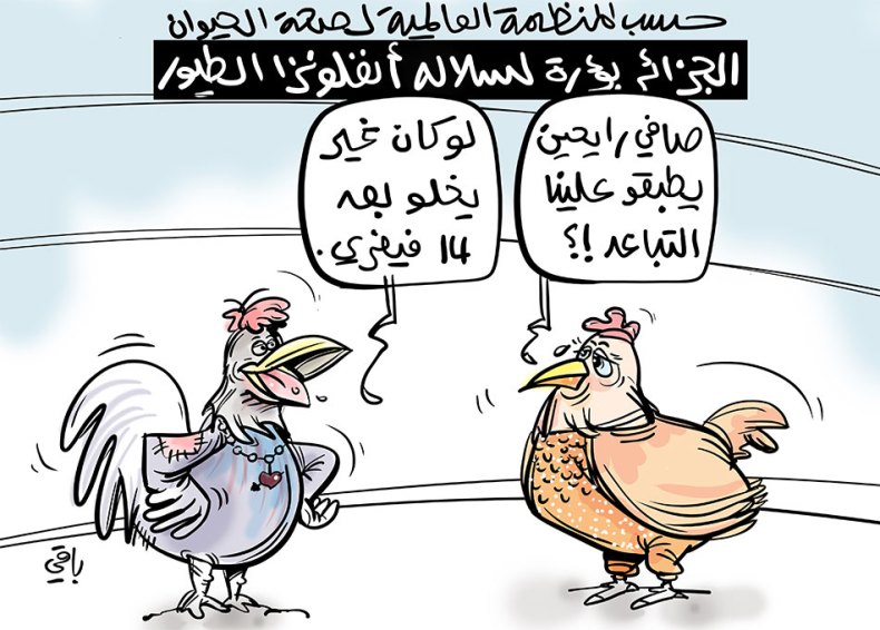 انفلونزا الطيور