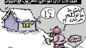 المواطن والثلوج