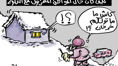 المواطن والثلوج