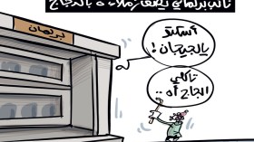 الدجاج!
