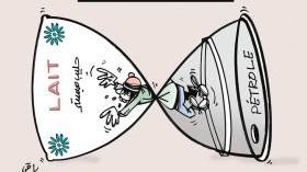 المواطن الجزائري!