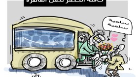 الخضر في القاهرة