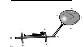 كاريكاتير العدد 3607