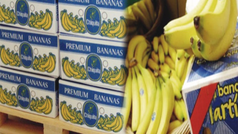 الجمارك تحبط تهريب طنا من الموز بميناء الجزائر