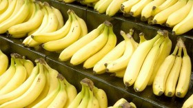 من غير المعقول أن يبقى الموز المستورد أقل سعرا من البرتقال الجزائري!