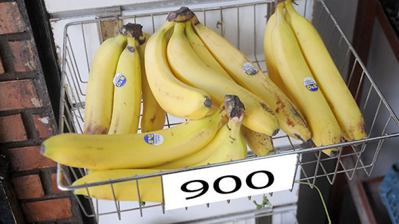 حجز 245 قنطار من الموز والكيوي المهرب من تونس عبر خنشلة