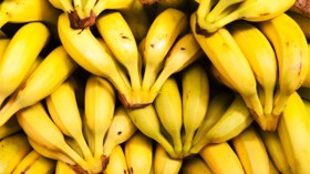 انهيار تاريخي في أسعار الموز
