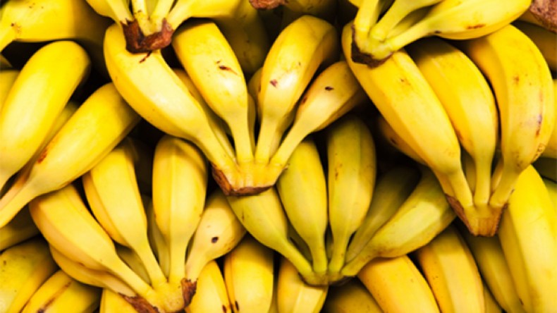انهيار تاريخي في أسعار الموز