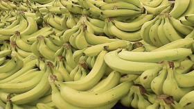 حجز  15 طنا من الموز المهرب من تونس بسوق أهراس
