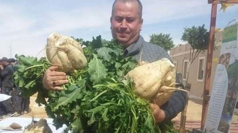 نجاح “مذهل” لزراعة البنجر السكري بالجنوب