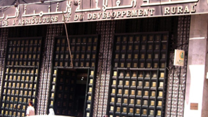 مدخرات الجزائريين في البنوك تفوق قروض الإستثمارات