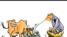 الحكومة تحت أصحاب الشكارة لتمويل مشاريع الدولة!