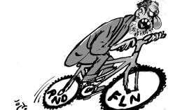 الأفلان والأرندي