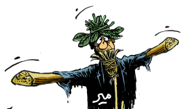 صلاحية المجالس المحلية!