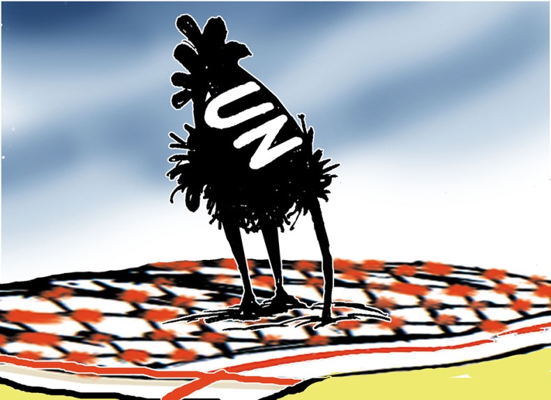 منظمة الأمم المتحدة