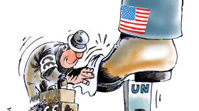 منظمة الأمم المتحدة