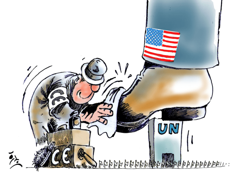 منظمة الأمم المتحدة