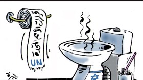 قرارات الأمم المتحدة