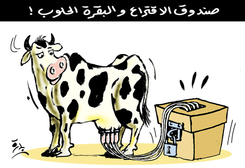 صندوق الإقتراع والبقرة الحلوب !