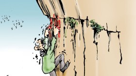 قانون المالية 2017