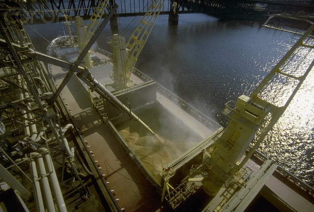 Algeria exports 100.000 tons of barley to Europe and Latin America