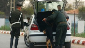 La gendarmerie nationale met en service un système d’échange d’informations pour déjouer à temps les attentats