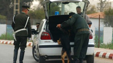 La gendarmerie nationale met en service un système d’échange d’informations pour déjouer à temps les attentats