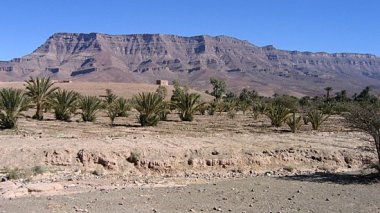 Luc Gnacadja : « La désertification exacerbe les problèmes sécuritaires dans la région du Sahel »