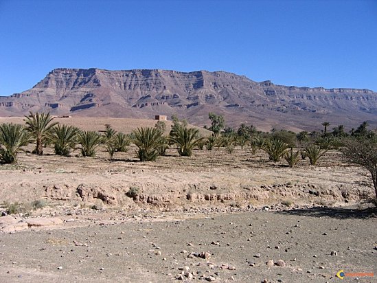 Luc Gnacadja : « La désertification exacerbe les problèmes sécuritaires dans la région du Sahel »