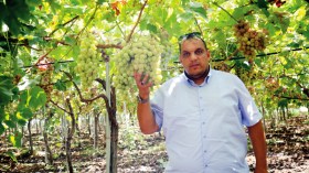 زعيم عبد الباسط: نفتخر ببلوغ أحسن النتائج من حيث النوعية والمردود