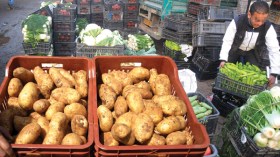 “السّيّدة” بطاطا تهزم وزارتي التجارة والفلاحة