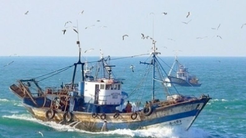 إنقاذ 9 بحارة بعد غرق مركبة صيد بسواحل مستغانم