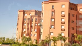 الإنسان والسياسة والعمران…