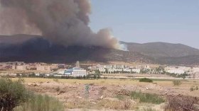حريق يلتهم عشرات الهكتارات من الحظيرة الوطنية لبلزمة بباتنة