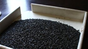 حجز 5 قناطير “بارود الكبريت” بباتنة