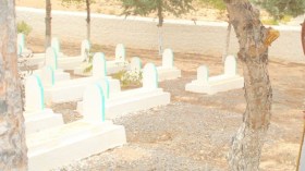 شعارات مسيئة بمقبرة للشهداء بباتنة