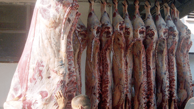 Citizens’ Concern: Why Authorities Want To import Meat From Europe And Ignore The Meat Of Sudan?