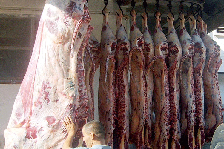 Citizens’ Concern: Why Authorities Want To import Meat From Europe And Ignore The Meat Of Sudan?