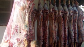 الحكومة تعلن دعمها لمستوري اللحوم من السودان