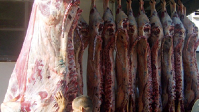 الحكومة تعلن دعمها لمستوري اللحوم من السودان