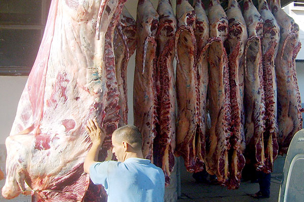 Algeria: Import of 20 Thousand Tons Of Fresh Meat To Break Market Prices