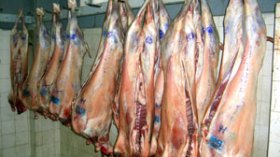La grève prolongée des médecins vétérinaires provoque une situation anarchique sur le marché des viandes et des poissons.