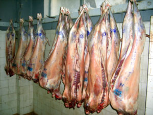 La grève prolongée des médecins vétérinaires provoque une situation anarchique sur le marché des viandes et des poissons.