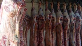 “لم نحدد للمستوردين الدول التي يستوردونا منها اللحوم”